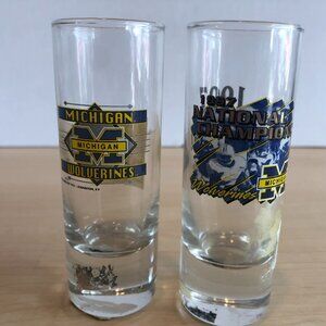 LOT of 2 U of M University of Michigan Wolverines Shot Glasses - 1997 National C